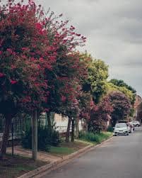 Internet y Telefonía en Alejandro Centeno, Ciudad de Córdoba, Córdoba