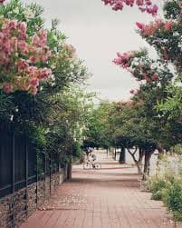 Internet y Telefonía en Cofico, Ciudad de Córdoba, Córdoba